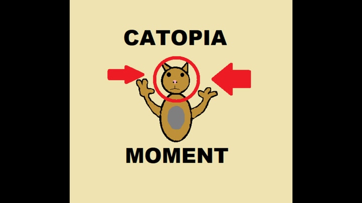 CATOPIA