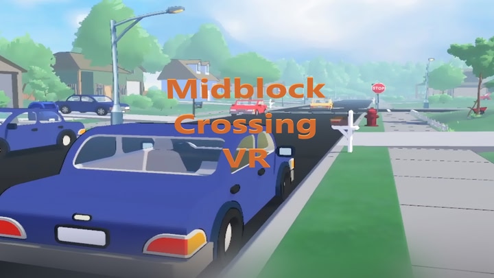 Midblock Crossing VR