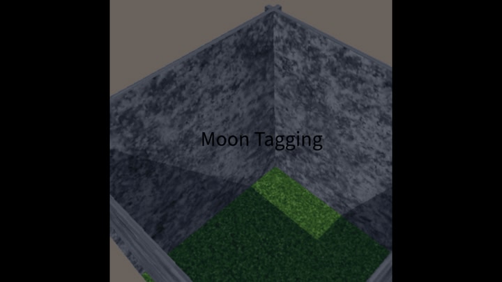 Moon Tagging V1