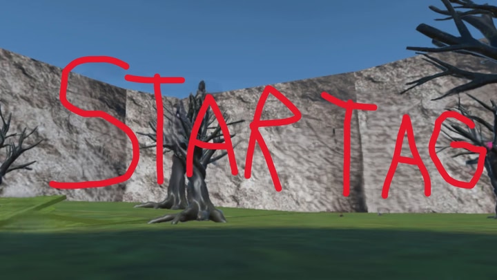 Star Taggers