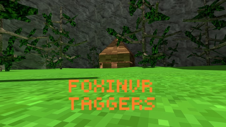 FOXINVR Taggers