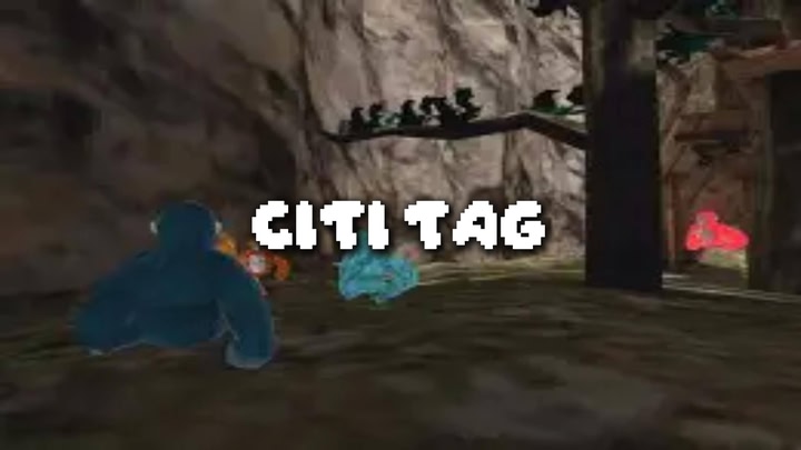 Citi Tag