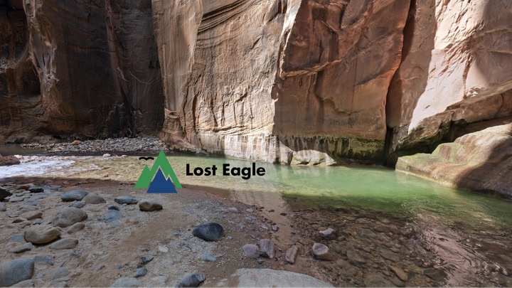 Lost Eagle