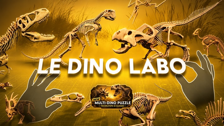 Le Dino Labo