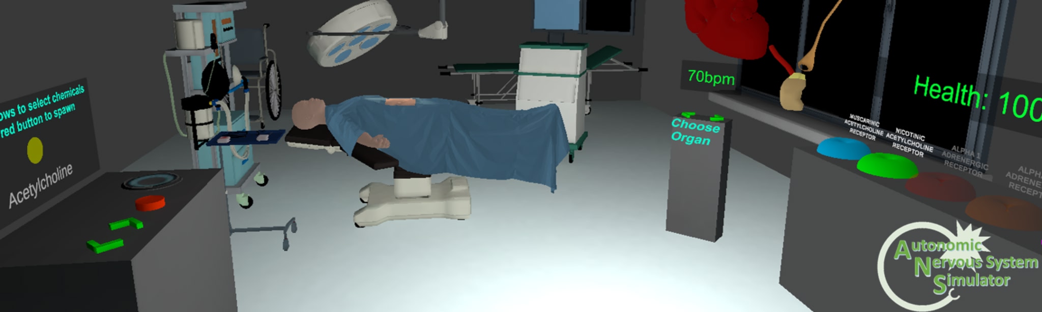 Autonomic Nervous System Simulator