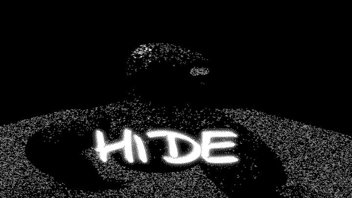 H I D E