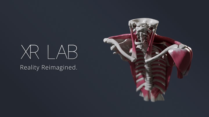 XR Lab