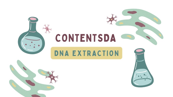 DNA Extraction Experiment - ContentsDa Science Experiment