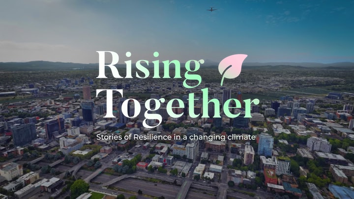 Rising Together: Stories of Resilience